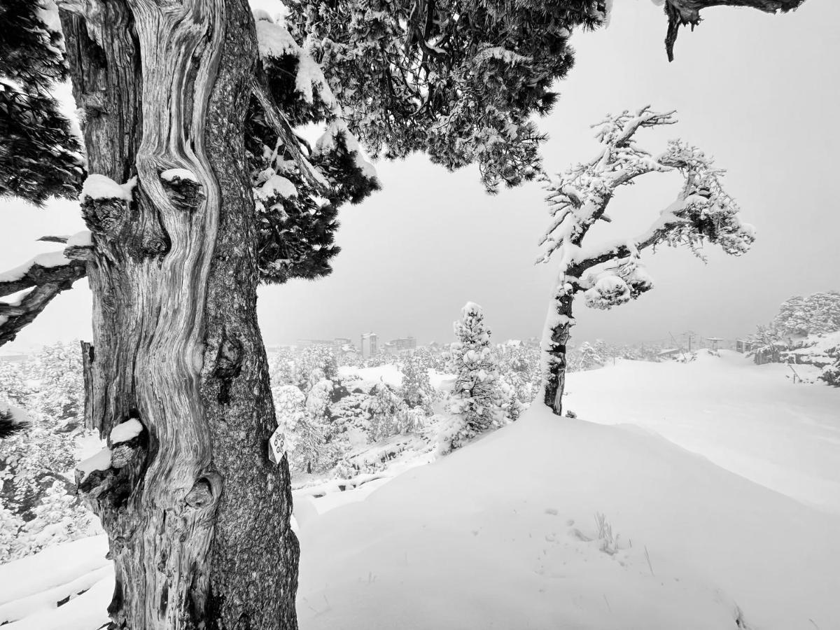 Atipic Lodge Arette Esterno foto